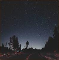 :: Midnight Hunt ::
