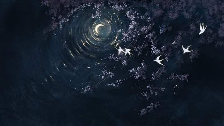 ～姫たちの戦国～