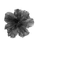 𝑢𝑛𝑖𝑞𝑢𝑒;