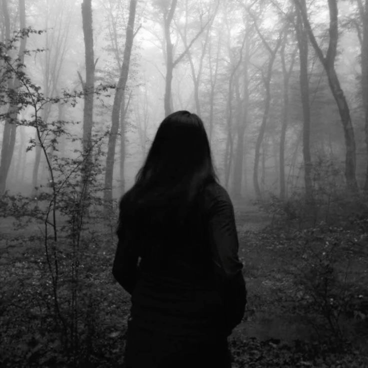 ── The Cabin in the Forest's Heart.