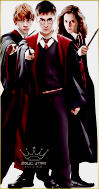 365 DIAS ARQUITETANDO EDI&Ccedil;&Otilde;ES