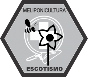 ⇢ especialidade em meliponicultura⇠