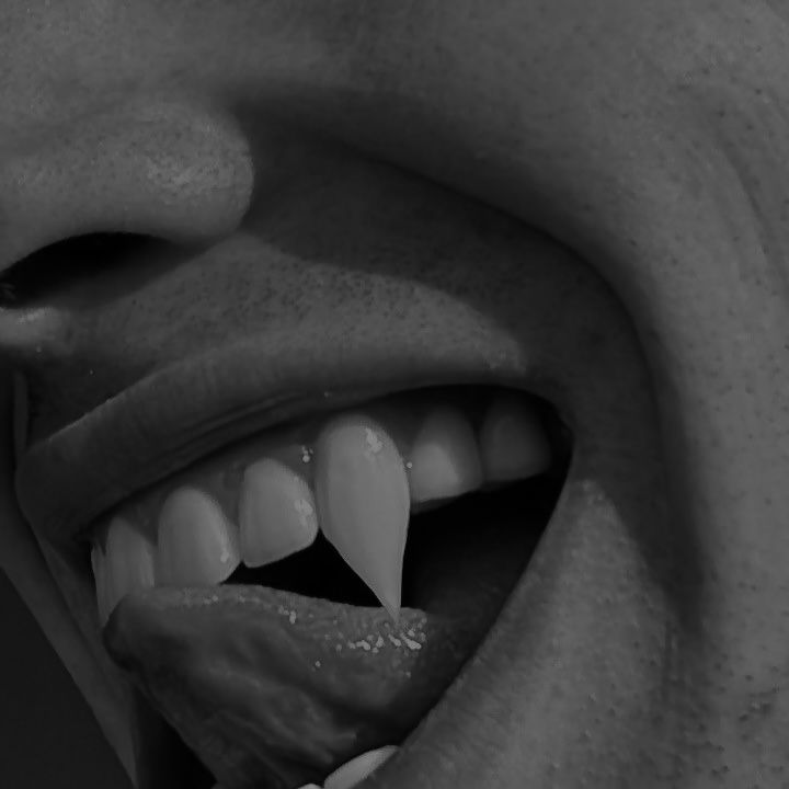 ᶠⁱˡʰᵒˢ ᵈᵃ ⁿᵒⁱᵗᵉ