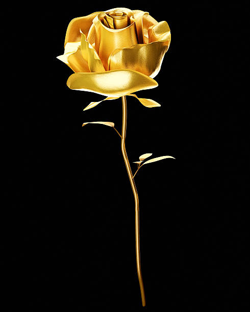 A rose never fades..
