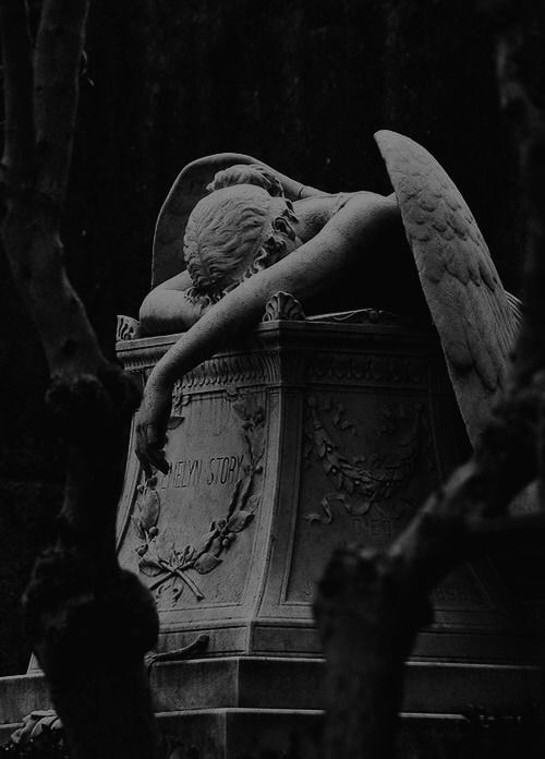 Sa&uuml;ni&egrave;r&ecirc; Family