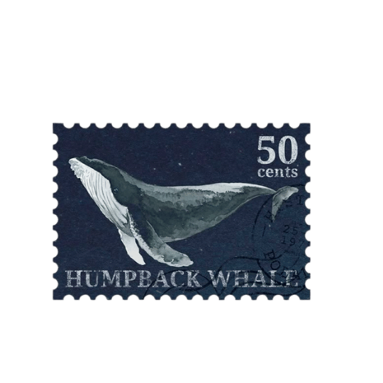 manifestação neurótica