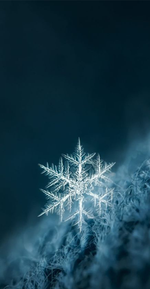 ههههه❆ههههه