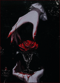 ᴀsʜᴇs ᴏғ ᴀ ʜᴇʀᴏ