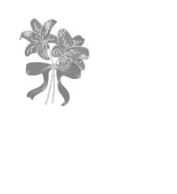 𝐦𝐨𝐧 𝐣𝐚𝐫𝐝𝐢𝐧.