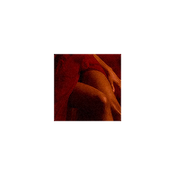 angels in my bedroom