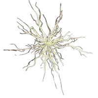 beauty - overwhelming