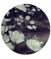 𝑬𝒍𝒗𝒆𝒏𝒑𝒂𝒕𝒉