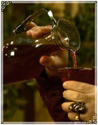 ᴛʜᴇ ᴀʀʙᴏʀ