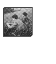 𝘸𝘶𝘵𝘩𝘦𝘳𝘪𝘯𝘨 𝘩𝘦𝘪𝘨𝘩𝘵𝘴.