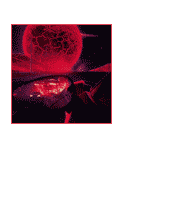 𝗩𝓞𝗜𝗗∶ ⯆𝗲𝗻𝘁𝗿𝗼𝗽𝘆. 