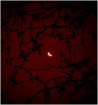 ECHO &mdash; crimson blood.