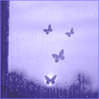 𝑪𝒓𝒐𝒔𝒔𝒓𝒐𝒂𝒅𝒔