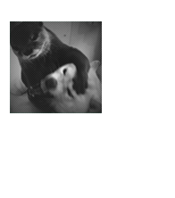 𝒄𝒖𝒓𝒔𝒆𝒅 ✧