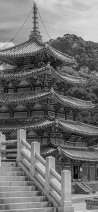  institute; 천사들의 집