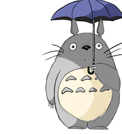 I'm a Totoro ♡