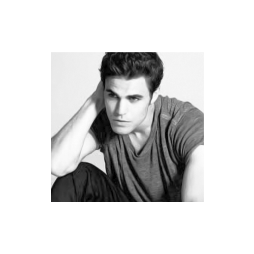 Paul Wesley, Private®