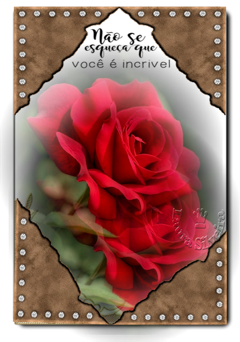 clara-silveira5fb199540c836.png