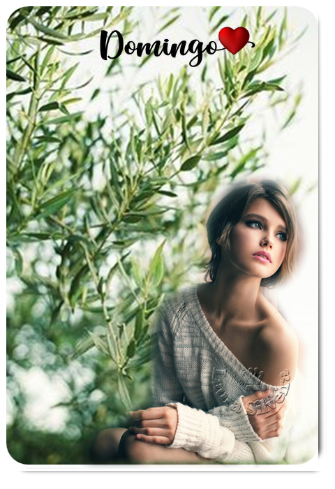 clara-silveira5fc2de2407061.png