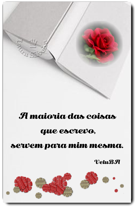 clara-silveira5fe233dd53131.png