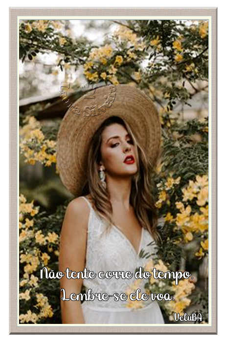 clara-silveira5fef756fd0883.png