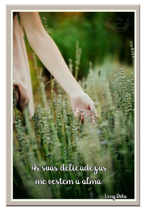 clara-silveira5ff74065c99df.png