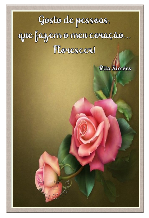 clara-silveira600f1581e2cad.png