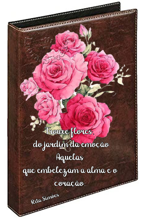 clara-silveira60146e0568609.png