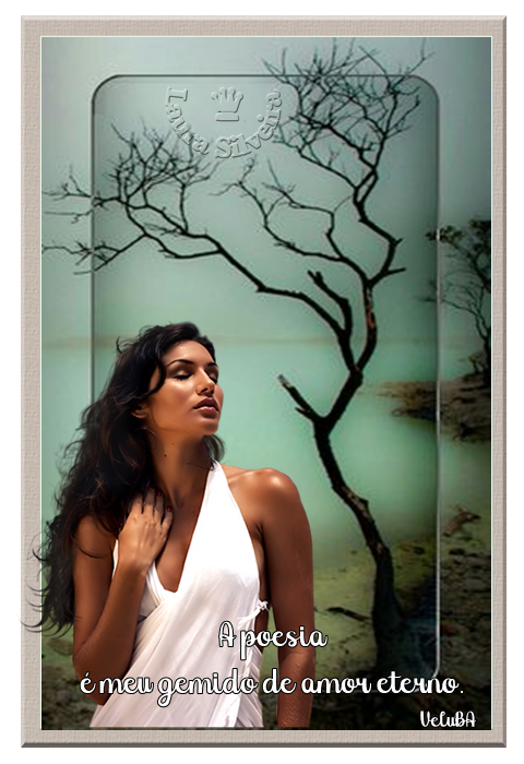 clara-silveira6019d23aa64cf.png