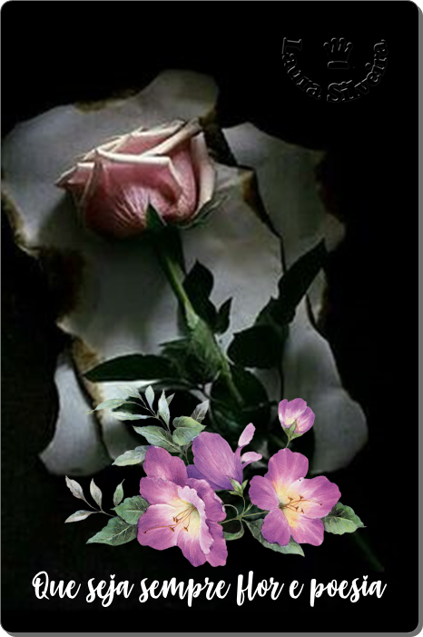 clara-silveira60a7fbda98296.png