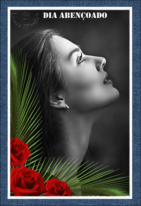 clara-silveira6144bbc363fa5.png