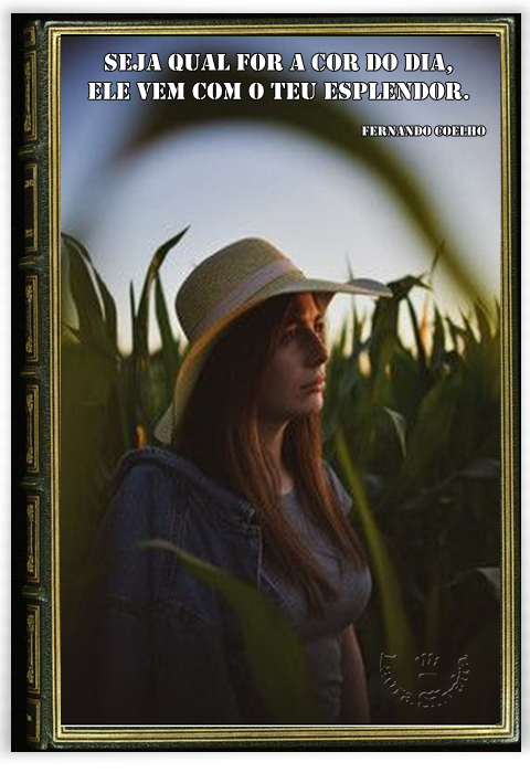laurasilveira615ef29956b80.png