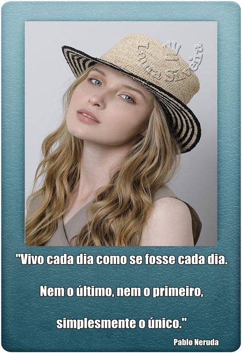 laurasilveira61955daf1c864.png