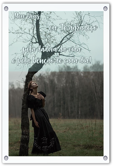 laurasilveira61f30002d7013.png