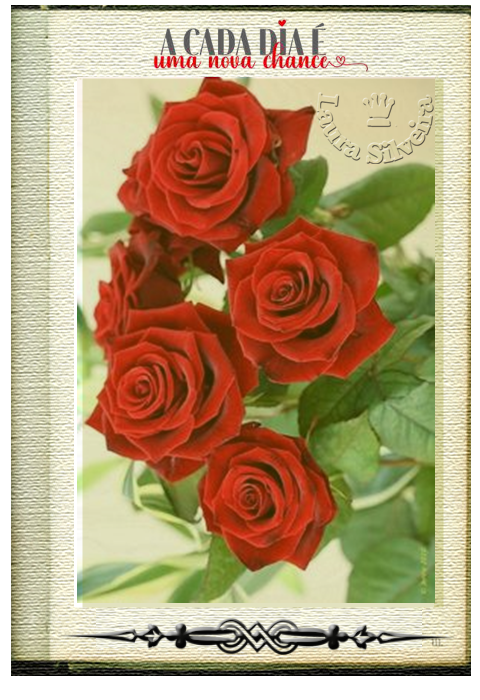 laurasilveira61f58afc74390.png