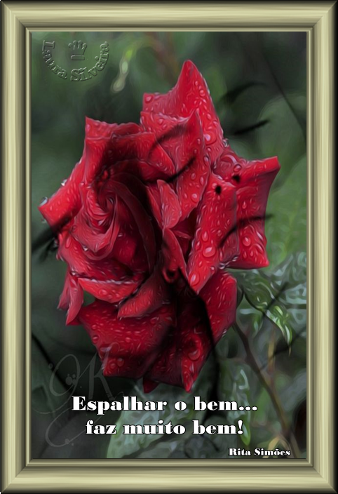 laurasilveira620d2d003ac8f.png