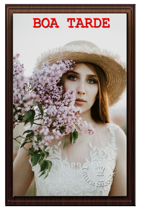 laurasilveira621115a41a9fb.png