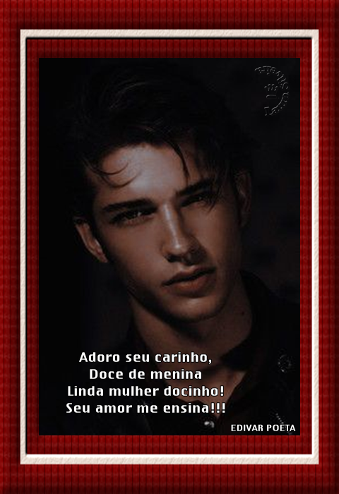 laurasilveira62472a17dd1c2.png