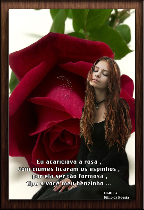 laurasilveira6249f0bd252da.png