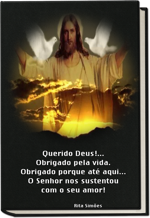 laurasilveira624b392e9b036.png