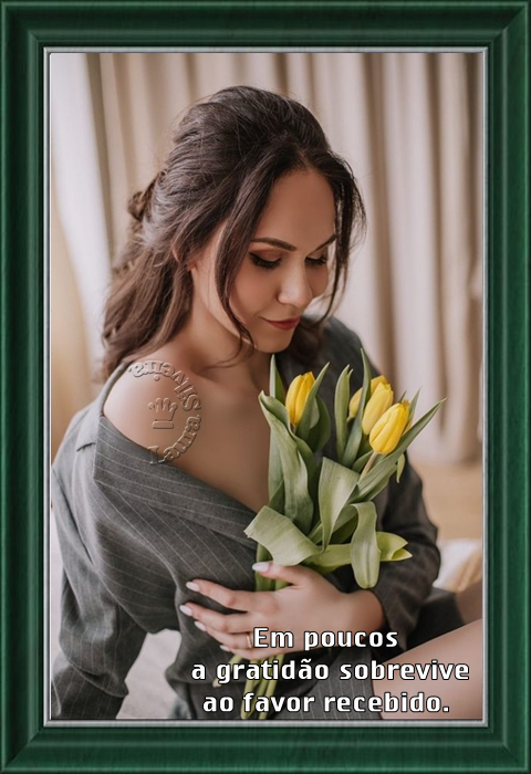 laurasilveira6255c827739e8.png