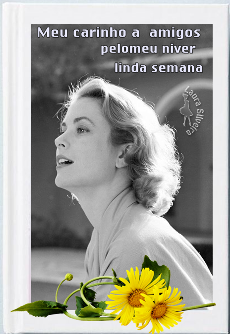 laurasilveira626fd28baf6c9.png