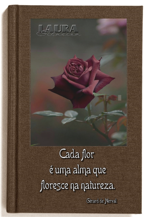 laurasilveira62bdccbde4d1b.png