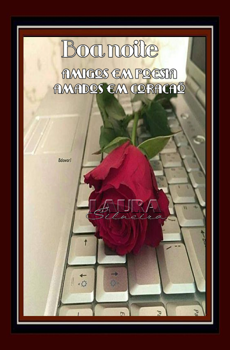 laurasilveira62eac28933d37.png