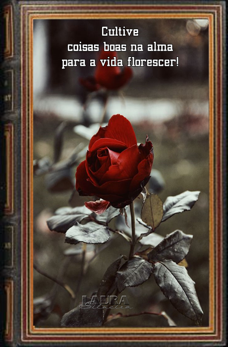 laurasilveira62fbfd148f544.png