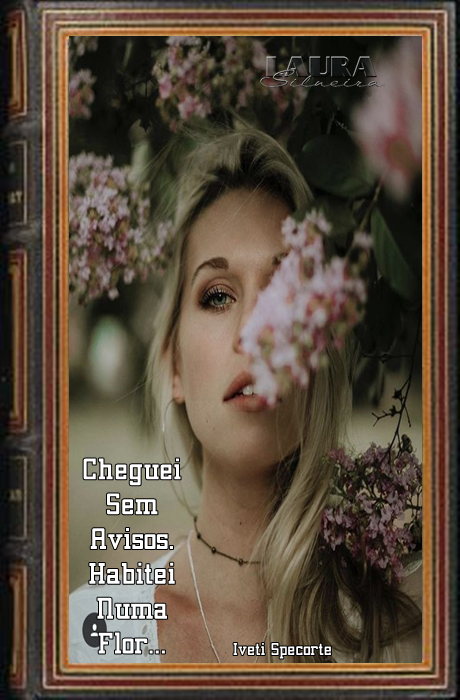 laurasilveira62fd27877924b.png